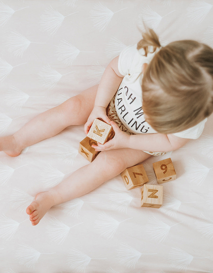 Wood Alphabet & Numeral Blocks